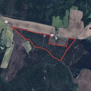 Photo #39 of Off Lebanon Church Rd, Jarratt, VA 38.0 acres