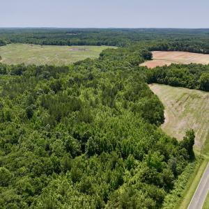 Photo #13 of Off High View Church Rd, Roxboro, NC 2.3 acres