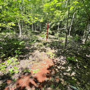 Photo #20 of Off High View Church Rd, Roxboro, NC 2.3 acres