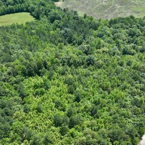 Photo #5 of Off High View Church Rd, Roxboro, NC 2.3 acres