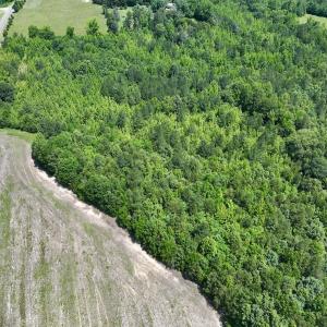 Photo #6 of Off High View Church Rd, Roxboro, NC 2.3 acres