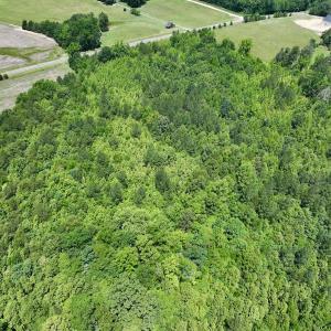 Photo #7 of Off High View Church Rd, Roxboro, NC 2.3 acres