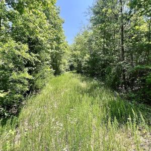 Photo #9 of Off High View Church Rd, Roxboro, NC 2.3 acres