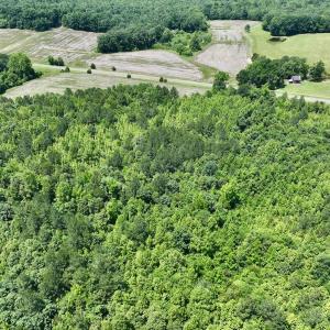 Photo #10 of Off High View Church Rd, Roxboro, NC 2.3 acres