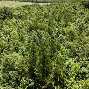 Photo #24 of Off High View Church Rd, Roxboro, NC 2.3 acres