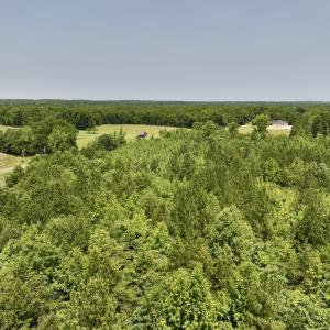 Photo #25 of Off High View Church Rd, Roxboro, NC 2.3 acres