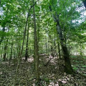 Photo #26 of Off High View Church Rd, Roxboro, NC 2.3 acres