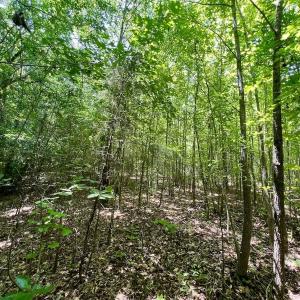 Photo #28 of Off High View Church Rd, Roxboro, NC 2.3 acres