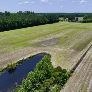 Photo #10 of Off Highway 33, Chocowinity, NC 16.5 acres
