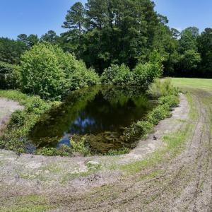 Photo #11 of Off Highway 33, Chocowinity, NC 16.5 acres