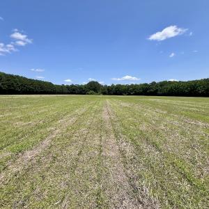 Photo #14 of Off Highway 33, Chocowinity, NC 16.5 acres