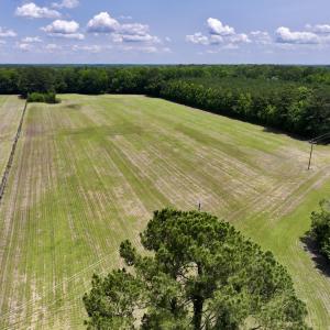 Photo #16 of Off Highway 33, Chocowinity, NC 16.5 acres