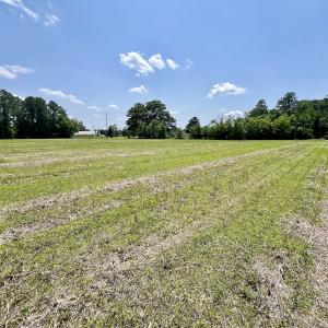 Photo #17 of Off Highway 33, Chocowinity, NC 16.5 acres