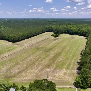 Photo #2 of Off Highway 33, Chocowinity, NC 16.5 acres