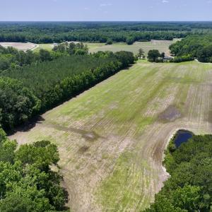 Photo #5 of Off Highway 33, Chocowinity, NC 16.5 acres