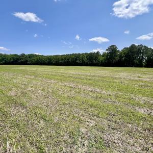 Photo #8 of Off Highway 33, Chocowinity, NC 16.5 acres