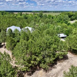 Photo #11 of Off Old 125 rd, Scotland Neck, NC 20.3 acres