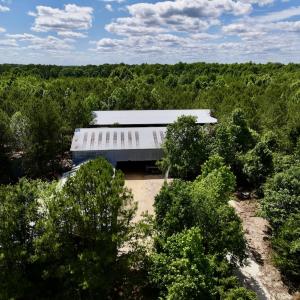 Photo #12 of Off Old 125 rd, Scotland Neck, NC 20.3 acres