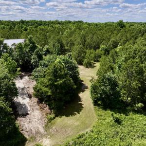 Photo #13 of Off Old 125 rd, Scotland Neck, NC 20.3 acres