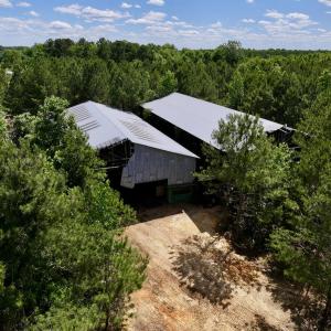 Photo #14 of Off Old 125 rd, Scotland Neck, NC 20.3 acres