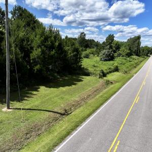 Photo #16 of Off Old 125 rd, Scotland Neck, NC 20.3 acres