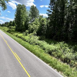 Photo #17 of Off Old 125 rd, Scotland Neck, NC 20.3 acres