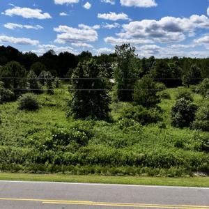 Photo #18 of Off Old 125 rd, Scotland Neck, NC 20.3 acres