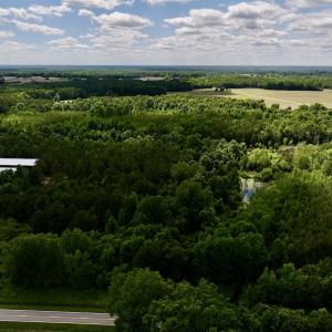 Photo #3 of Off Old 125 rd, Scotland Neck, NC 20.3 acres