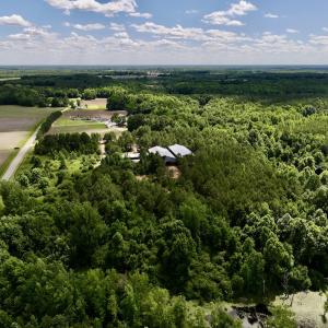 Photo #4 of Off Old 125 rd, Scotland Neck, NC 20.3 acres