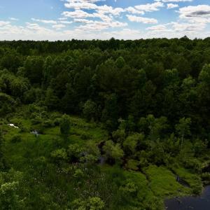 Photo #6 of Off Old 125 rd, Scotland Neck, NC 20.3 acres