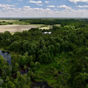 Photo #7 of Off Old 125 rd, Scotland Neck, NC 20.3 acres