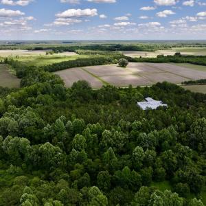 Photo #8 of Off Old 125 rd, Scotland Neck, NC 20.3 acres