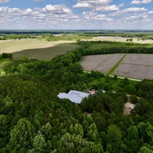 Photo #9 of Off Old 125 rd, Scotland Neck, NC 20.3 acres