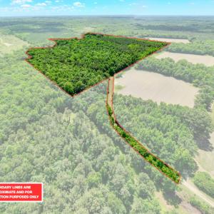Photo #2 of Off Covered Bridge Rd, Zebulon, NC 58.0 acres