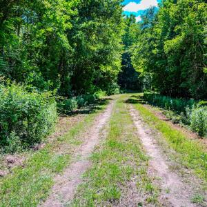 Photo #5 of Off Covered Bridge Rd, Zebulon, NC 58.0 acres