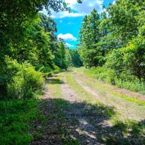Photo #6 of Off Covered Bridge Rd, Zebulon, NC 58.0 acres