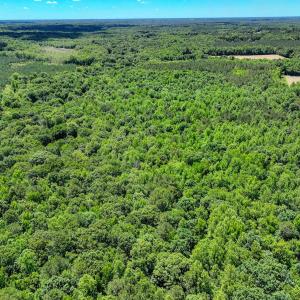 Photo #9 of Off Covered Bridge Rd, Zebulon, NC 58.0 acres