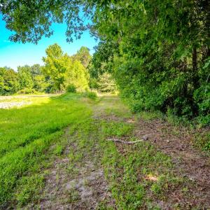 Photo #11 of Off Covered Bridge Rd, Zebulon, NC 58.0 acres