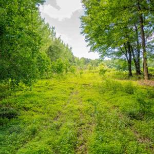Photo #12 of Off Covered Bridge Rd, Zebulon, NC 58.0 acres