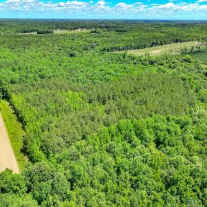 Photo #13 of Off Covered Bridge Rd, Zebulon, NC 58.0 acres