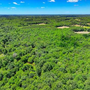 Photo #14 of Off Covered Bridge Rd, Zebulon, NC 58.0 acres