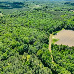 Photo #19 of Off Covered Bridge Rd, Zebulon, NC 58.0 acres