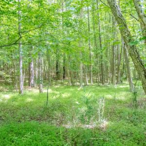 Photo #27 of Off Covered Bridge Rd, Zebulon, NC 58.0 acres
