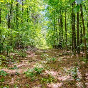 Photo #29 of Off Covered Bridge Rd, Zebulon, NC 58.0 acres