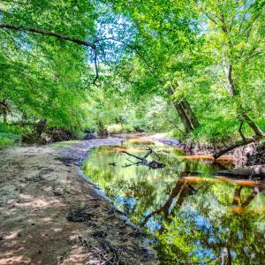Photo #32 of Off Covered Bridge Rd, Zebulon, NC 58.0 acres