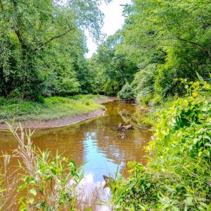 Photo #33 of Off Covered Bridge Rd, Zebulon, NC 58.0 acres