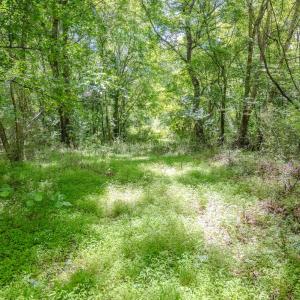 Photo #34 of Off Covered Bridge Rd, Zebulon, NC 58.0 acres