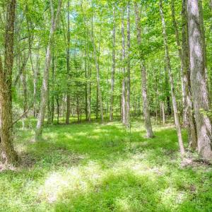 Photo #35 of Off Covered Bridge Rd, Zebulon, NC 58.0 acres