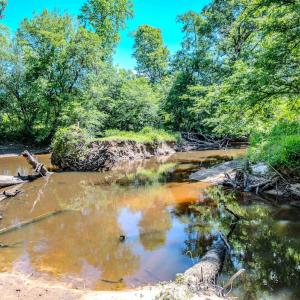 Photo #40 of Off Covered Bridge Rd, Zebulon, NC 58.0 acres