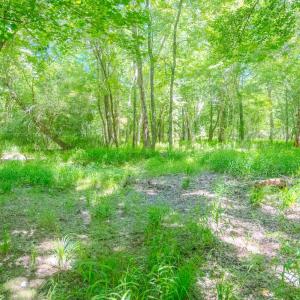 Photo #41 of Off Covered Bridge Rd, Zebulon, NC 58.0 acres